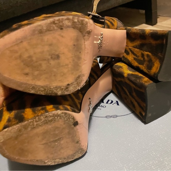 Leopard Prada Sandal - Picture 3 of 7